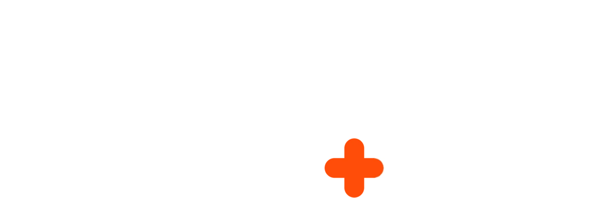 THE PLAY PLUS